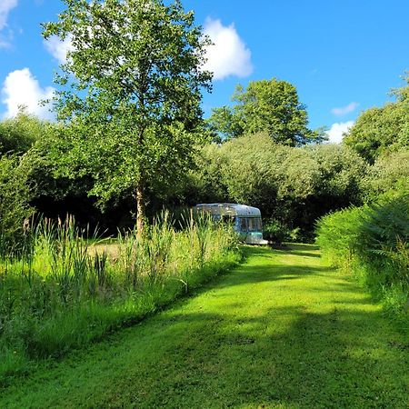 Budget Stay, In Lovely Private Setting With Rustic Charm, Log Burner, Fire Pit, Campers Kitchen & Eco Loo No Bedding Supplied Narberth Εξωτερικό φωτογραφία