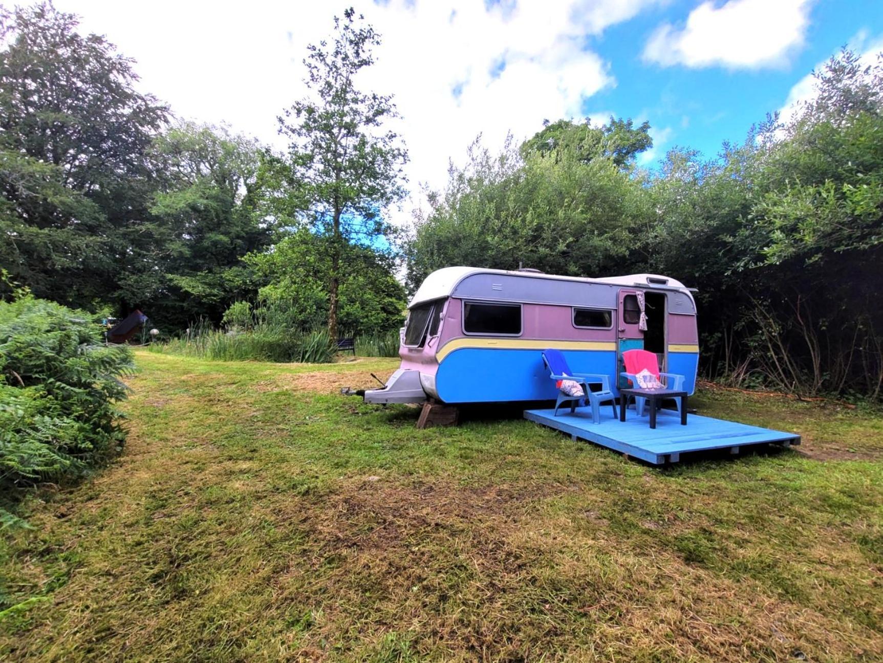 Budget Stay, In Lovely Private Setting With Rustic Charm, Log Burner, Fire Pit, Campers Kitchen & Eco Loo No Bedding Supplied Narberth Εξωτερικό φωτογραφία