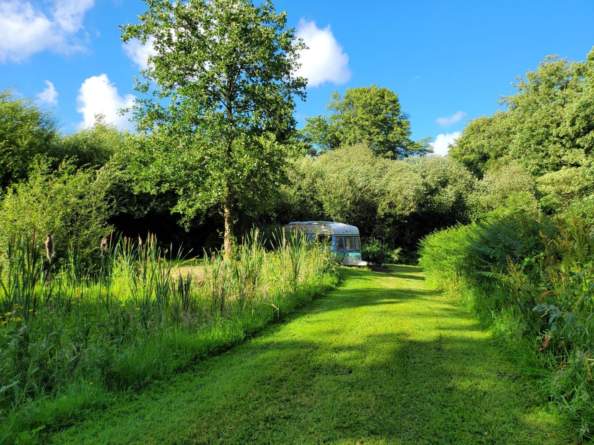 Budget Stay, In Lovely Private Setting With Rustic Charm, Log Burner, Fire Pit, Campers Kitchen & Eco Loo No Bedding Supplied Narberth Εξωτερικό φωτογραφία